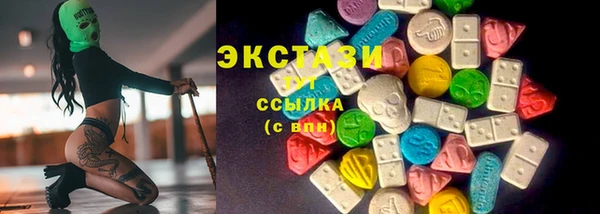 ECSTASY Краснослободск