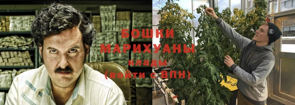 ECSTASY Краснослободск