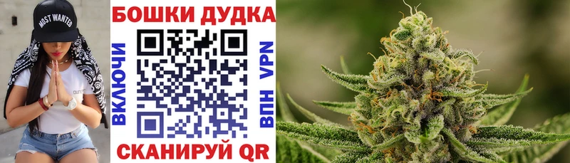 наркота  Лосино-Петровский  mega как зайти  Шишки марихуана MAZAR 